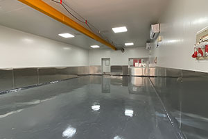 cleanroom-panoli1